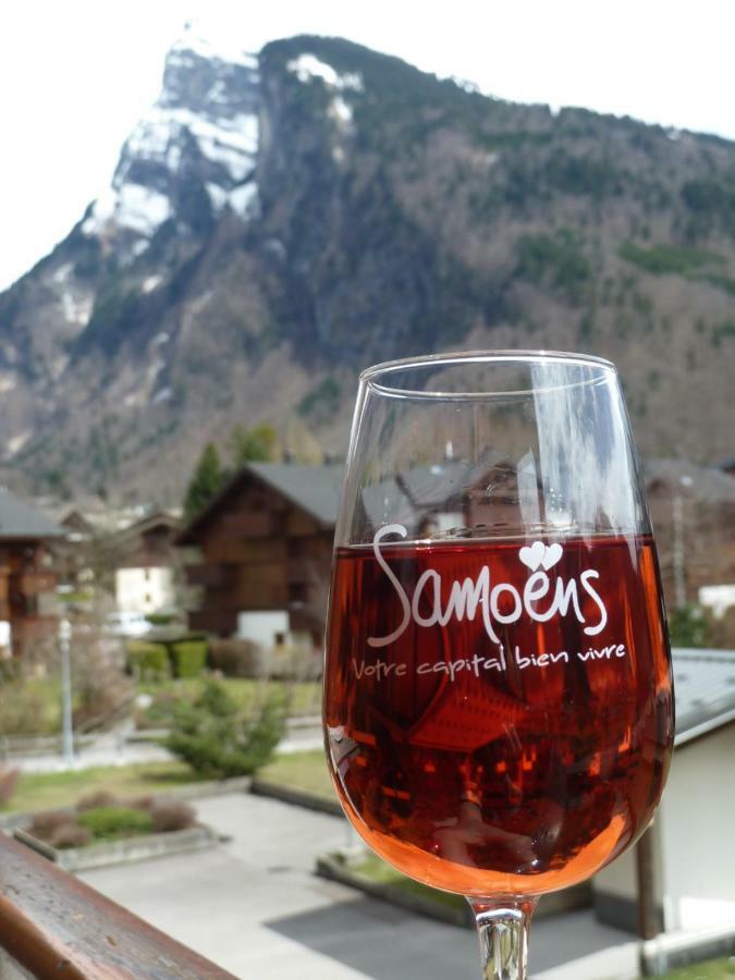 Samoens Studio 外观 照片